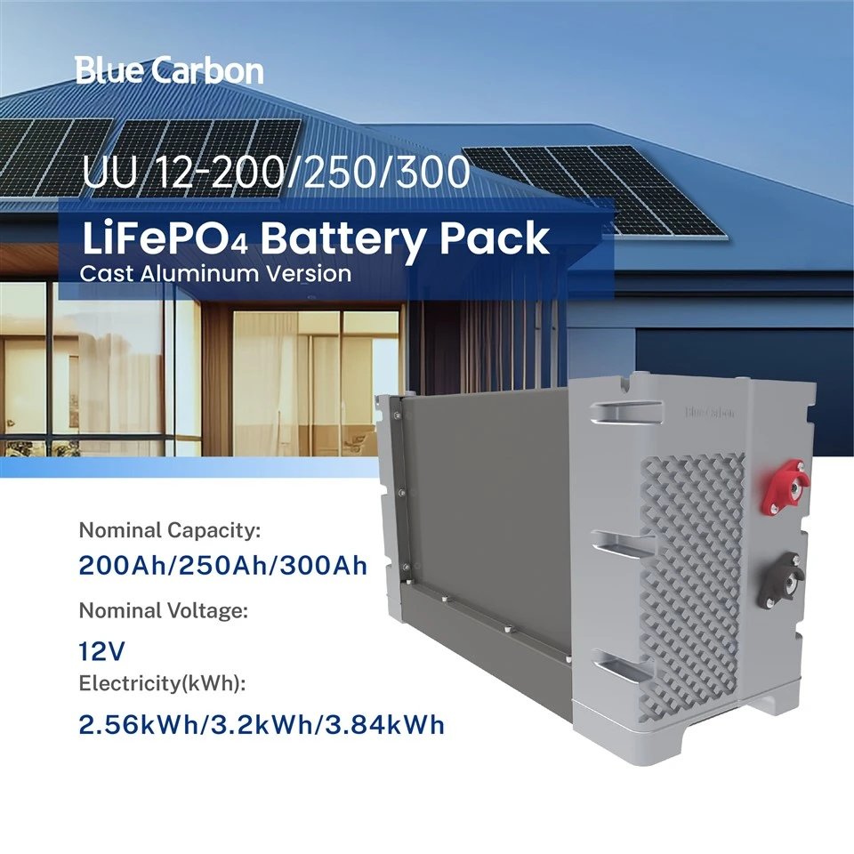 Blue Carbon 12 Volt oppladbar litiumionbatteripakke