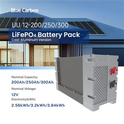 Blue Carbon Oppladbart LiFePO4-batteri 12V Lithium Ion-batteribank